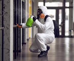 Best Commercial Mold Inspection  in Olivet, TN